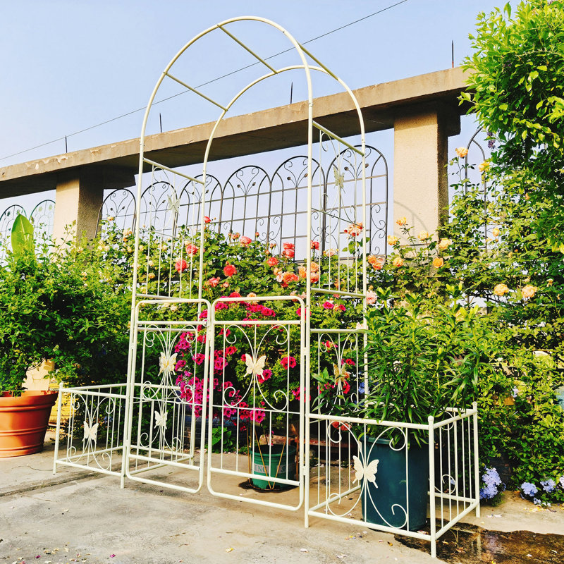 Arche de jardin arche de jardin, arche de jardin en métal avec support pour plantes grimpantes Rose crème extérieur blanc