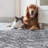 Roshun Noor Vintage Machine Washable Area Rugs-31129373-66908398