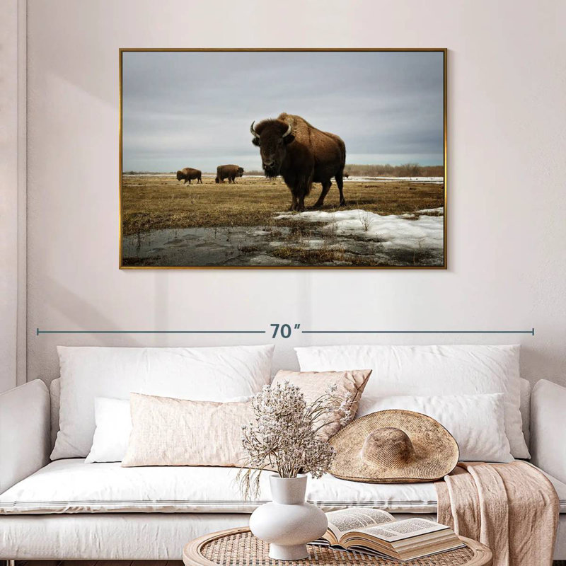 Bison Cloud Day, 46 po x 31 po, Cadre flottant doré