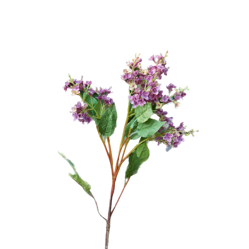 Mauve Lilac 