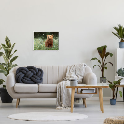 Conception d'art sur toile Stupell Industries Bear & Butterfly in Meadow par Mark Kelso