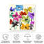 Fleurs bologniques-98044313