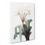 White Crinum Flowers by Pierre-Joseph Redoute - Wrapped Canvas-55305368