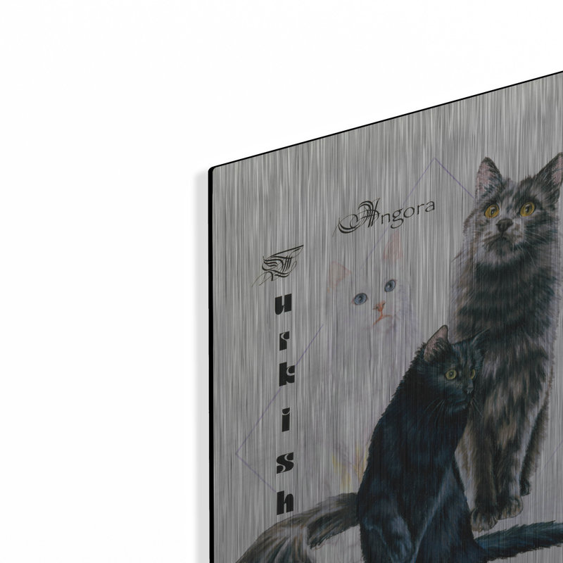 «Turkish Angora» par Barbara Keith, H 16 po x l 12 po