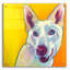 «Husky - Charlie» par Dawg Painter-1760189657