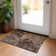 Abstract Indoor / Outdoor Rug