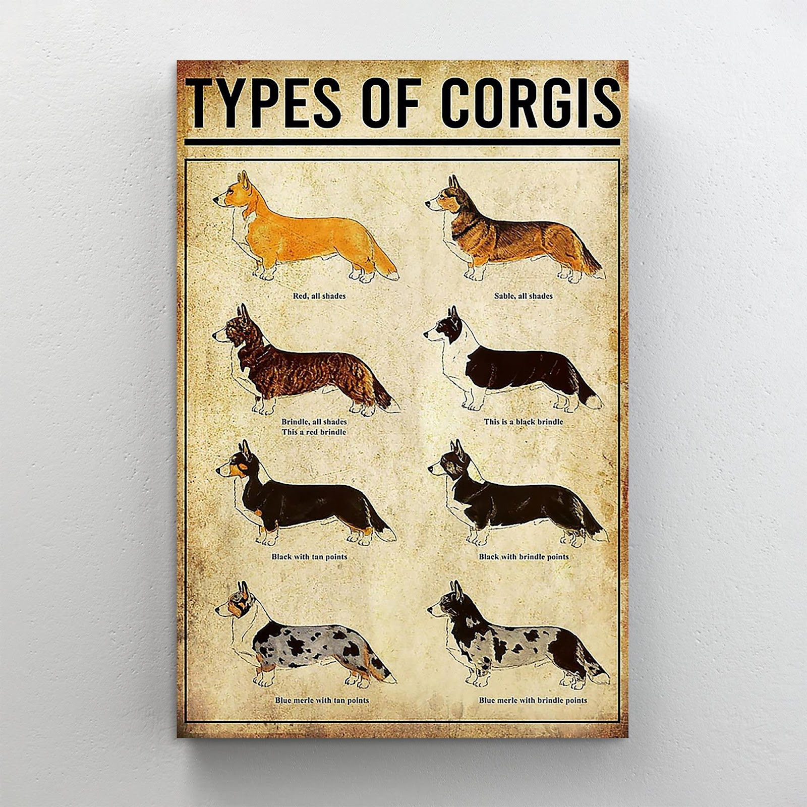 Trinx Corgi Types Of Corgis Dogs Lover - 1 Piece Rectangle Graphic Art ...