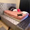 Zaniyah Upholstered Storage Bed