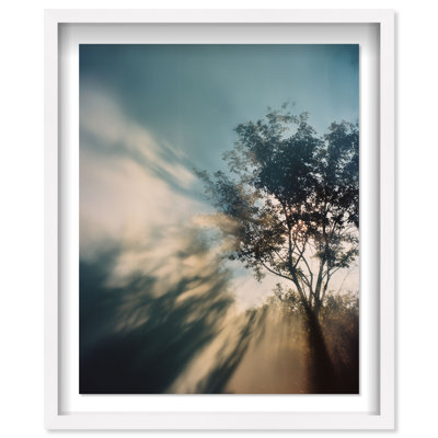 Golden Sunbeams II Framed Graphic Art