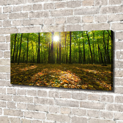 Forest - Wrapped Canvas Print