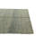 Ohlson Green Rug