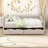2 Drawers Upholstered Full Daybed with Sturdy Slats Support-1174865769