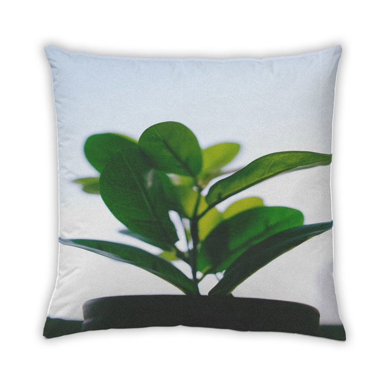 Coussin Color Color Green 57, Microsuède
