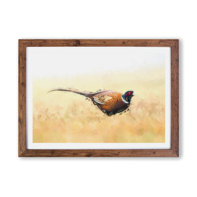 A Pheasant Bird - Framed Print