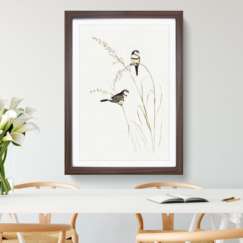 Double-Barred Finch by Elizabeth Gould - Framed Print, 48cm H x 36cm W x 2cm D, Walnut Framed