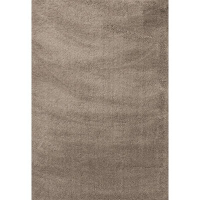 Tapis beige area