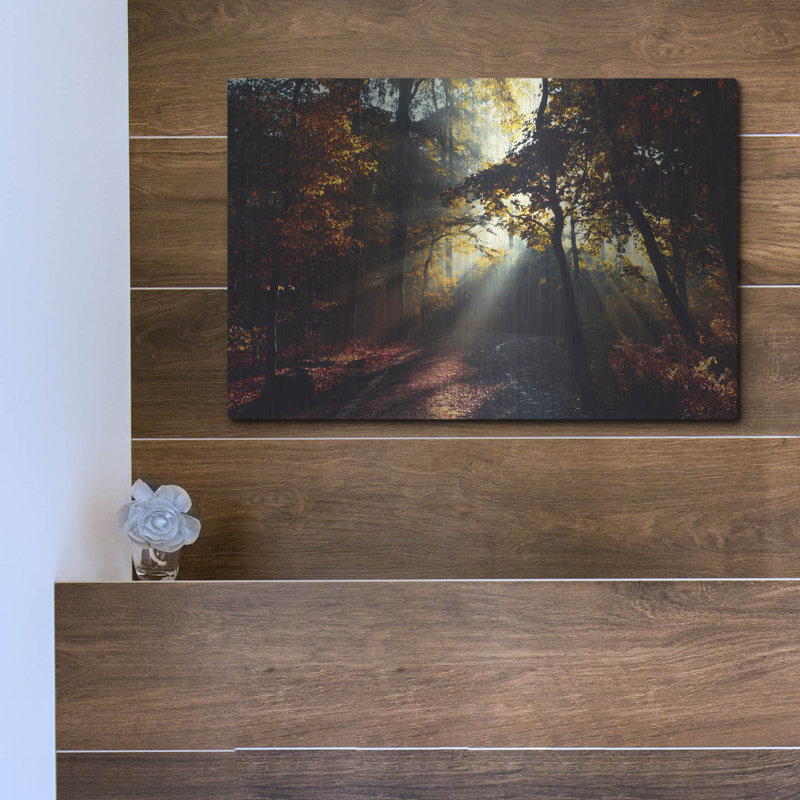 Loon Peak® «Magic Forest Light» par Dirk Wustenhagen, art mural en métal, H 12 po x l 16 po