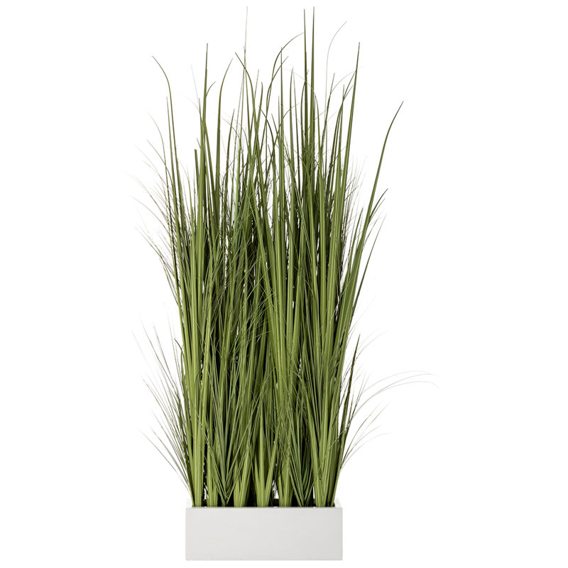 Paravent à herbe blanche 86 po x l 12 po x l 30 po