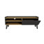 TV Stand with Cabinet and Shelves Cavera