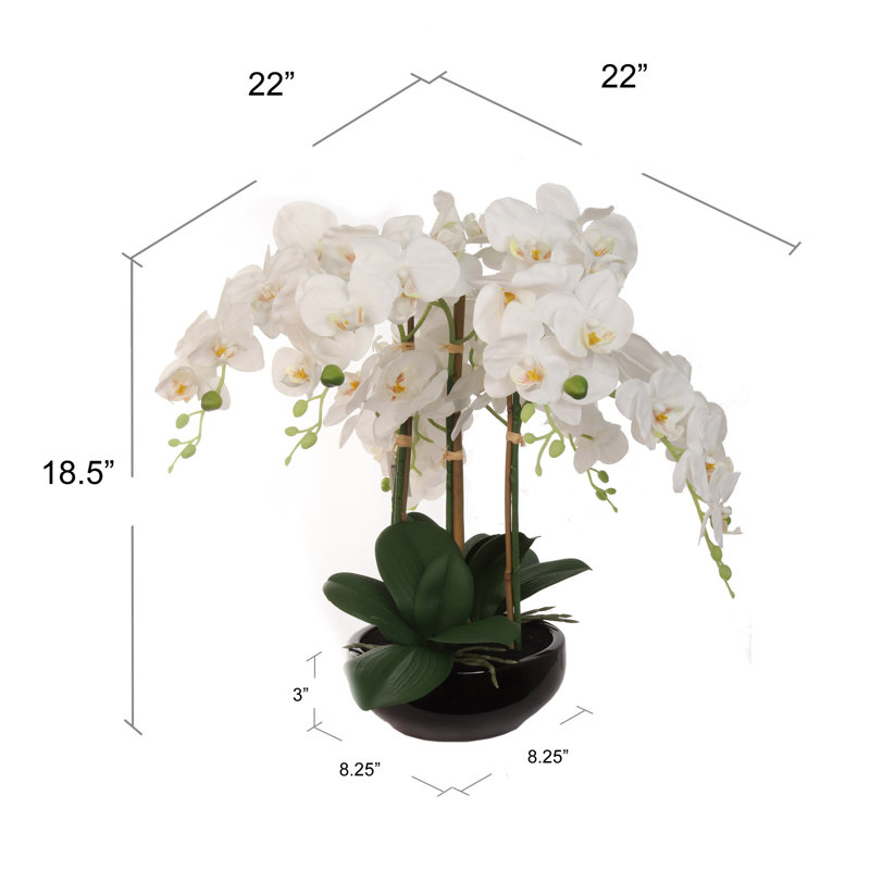 Orchid Floral Arrangement in Vase - Elegant Artificial Flowers for Home & Office, Black