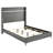 Rohnan 61-inch Upholstered Queen Wingback Bed Grey-96122306-114385234