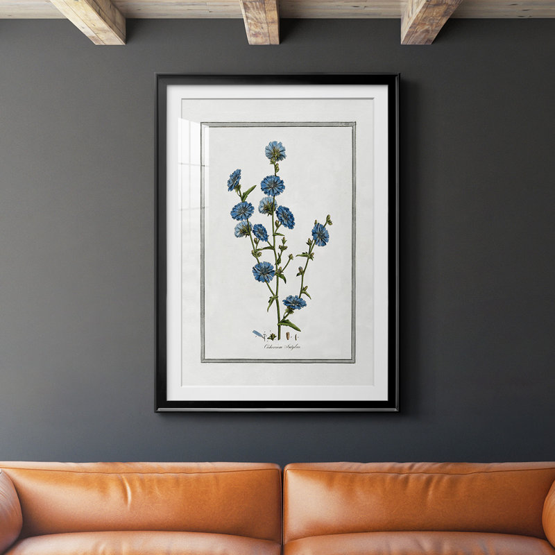 «Soft Botanical I», reproduction encadrée de qualité supérieure, prête à être accrochée, H 42,5 po x l 30,5 po x P 1 po