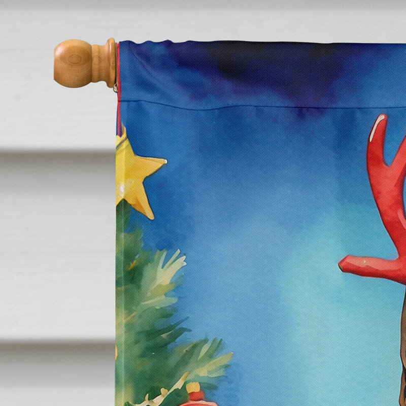 Drapeau de Noël maison de renne, Malinois belge
