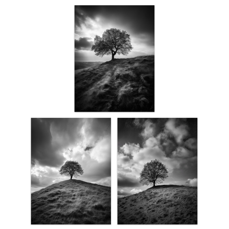 Lone Tree On A Hill Black White Countryside Field Landscape - 3 Piece No Frame Print Set, 40.5cm H x 30.5cm W x 0.3cm D