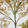 81.1'' Faux Bamboo Tree in Planter