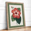 Hibiscus Study Botanical - Framed Print-1496888472-1496888477