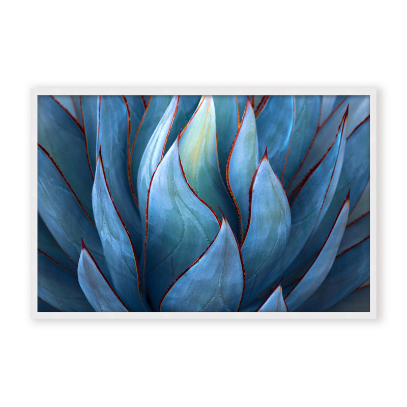 Nature Inspired Blue Agave Abstract by  - Picture Frame Graphic Art on Paper, 16" H x 24" W x 1.125" D, Black