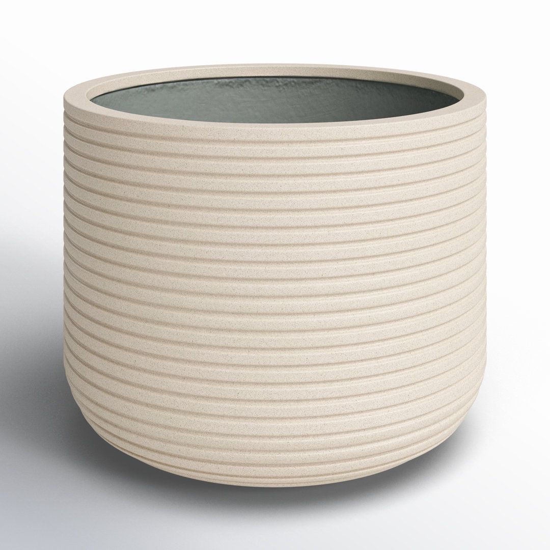 Norah Pot Planter AllModern 