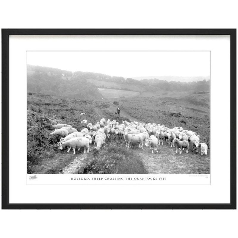 Holford, Sheep Crossing The Quantocks 1929 - Single Picture Frame Print, 40cm H x 50cm W x 2.3cm D