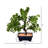 12'' Faux Tree in Pot