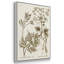 «Sepia Botanical Journal I», ensemble de 3 reproductions encadrées sur toile-97706319-97706324