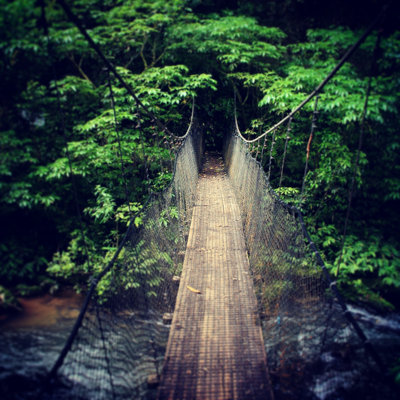 Blakesburg Forest Bridge - Wrapped Canvas Print