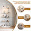 Display Case-128768447
