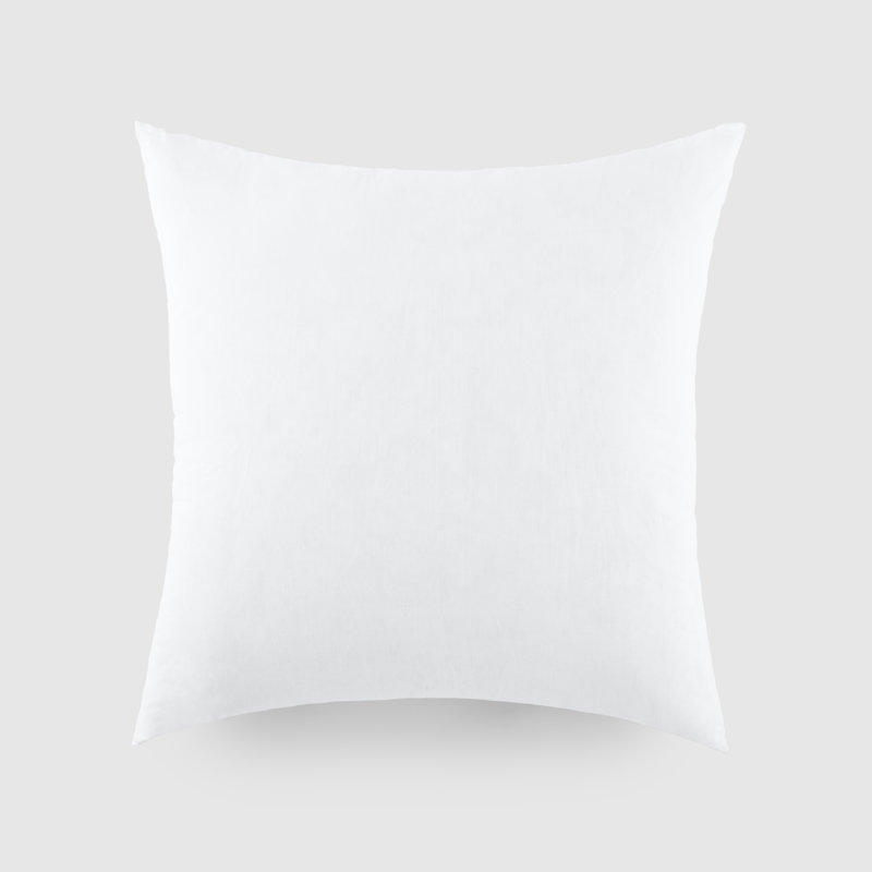  Plush 21x21 Throw Pillow Insert