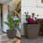 Pot Planter-979810678