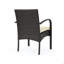 [Set Of 2] CORDOBA KD PE WICKER DINING CHAIR-533316238