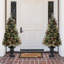Arbre de Noël cyprès blanc givré illuminé-893898171