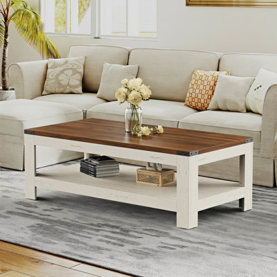 Damika Rectangular Coffee Table with 2-Tier Storage