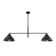 Kiwan 2 - Light Cone Chandelier with Accents