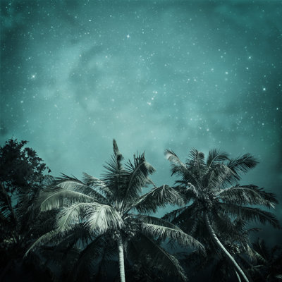 Tropical Background - Wrapped Canvas Print