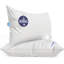Ensemble de 2 oreillers en duvet de luxe Continental Bedding-92832495-96295071