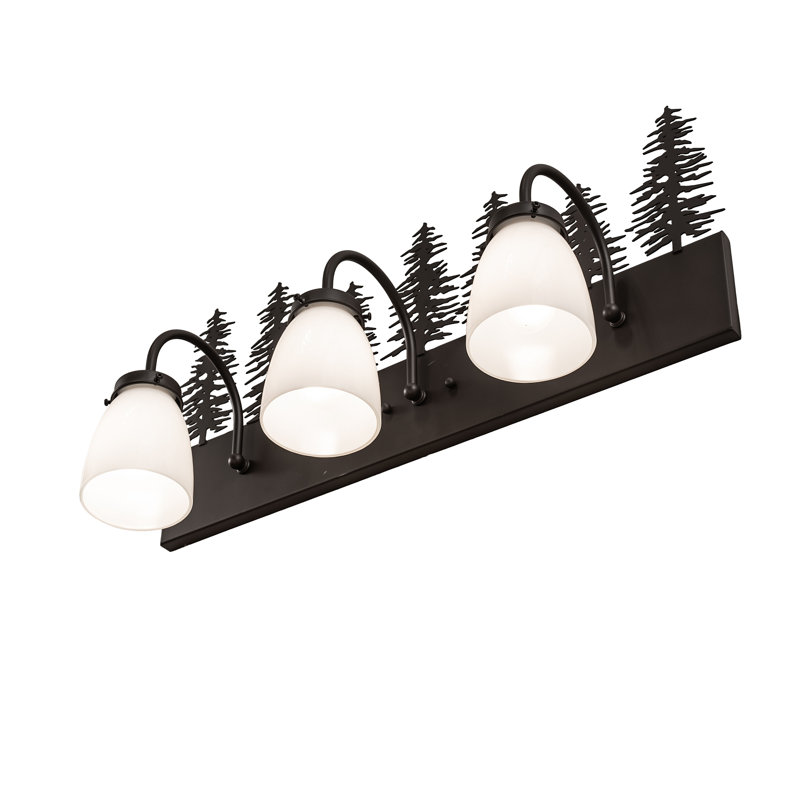 Vanity Light, Oil Rubbed Bronze, 13" H x 24" W x 8" D