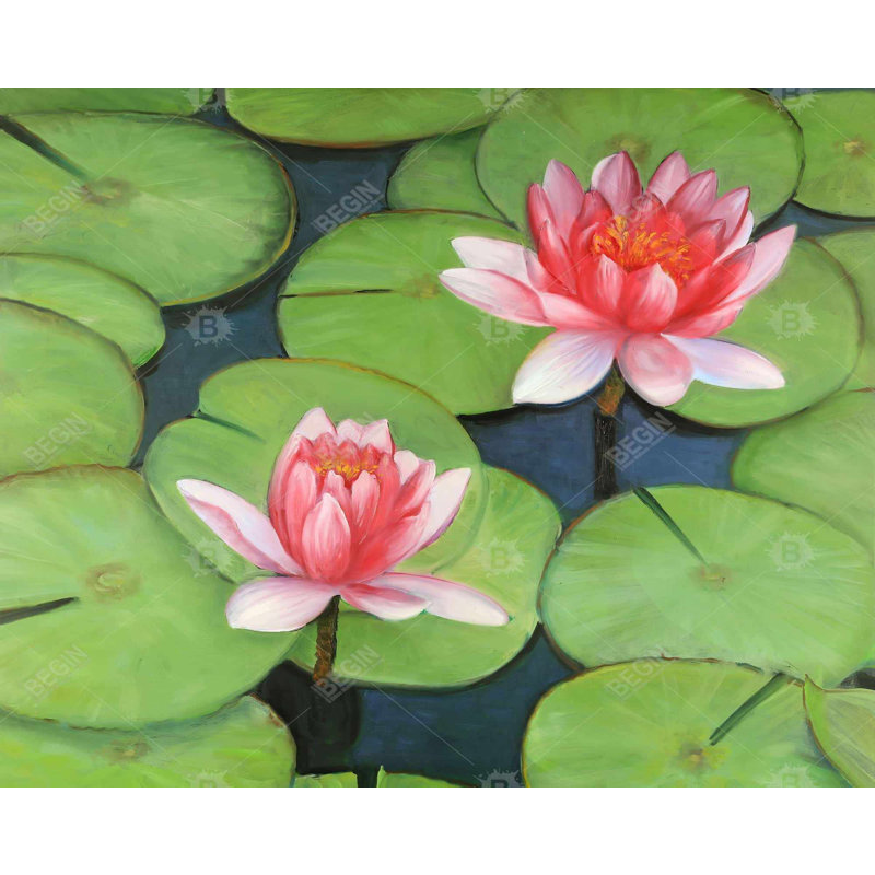 Lotus Flowers In A Swamp Print On Canvas, H 48 po x l 60 po