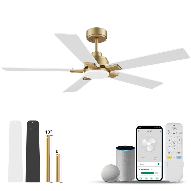 Ventilateur de plafond 52 po à 5 pales d'intérieur / extérieur avec lumière DEL, télécommande et commande vocale via Alexa, à intensité variable