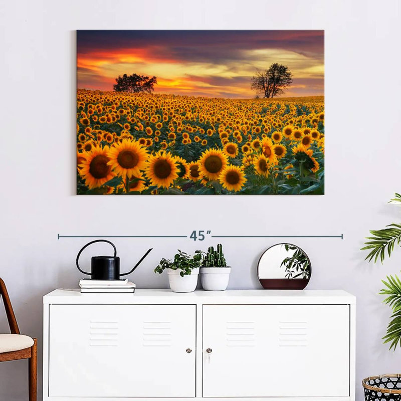 Crépuscule champ de tournesol Alvord, H 26 po x l 39 po