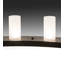 24 - Light Chandelier